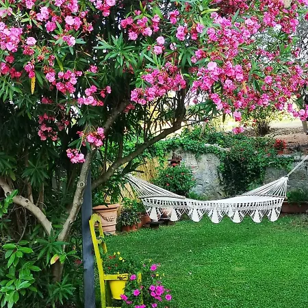 Casa Sull'albero Vista Mare Argentario Domek letniskowy *