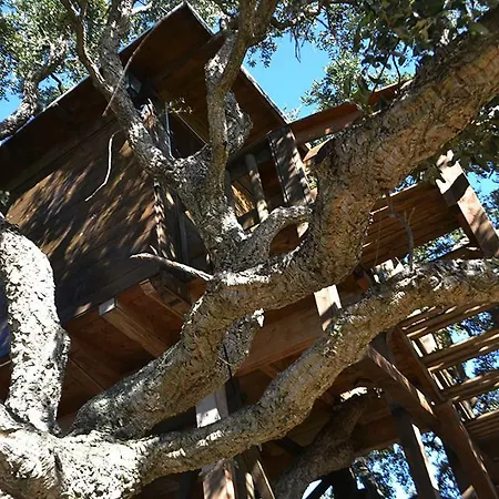 Casa Sull'albero Vista Mare Argentario