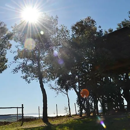 Casa Sull'albero Vista Mare Argentario Lodge *