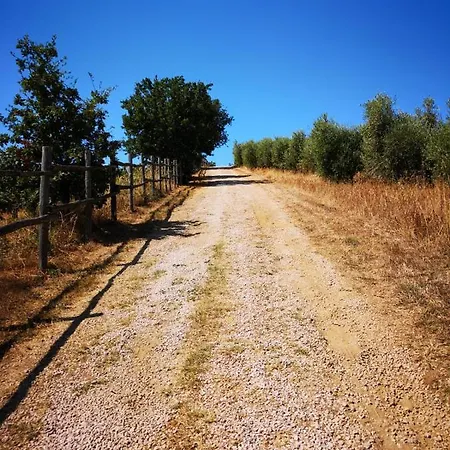 Domek letniskowy Casa Sull'albero Vista Mare Argentario Fonteblanda