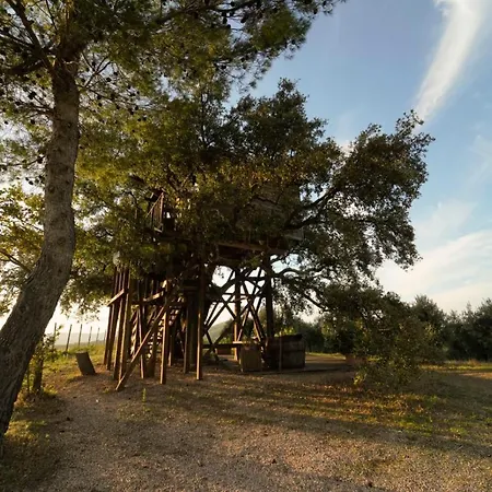 Domek letniskowy Casa Sull'albero Vista Mare Argentario