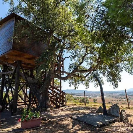 Casa Sull'albero Vista Mare Argentario