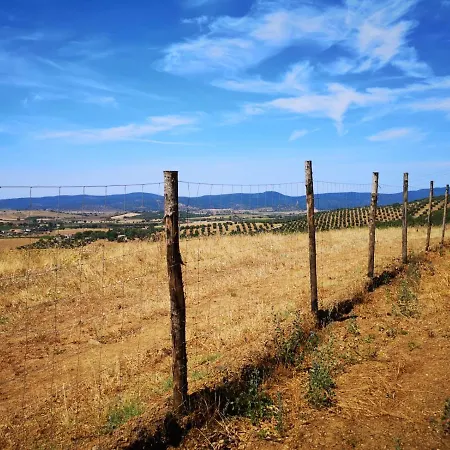 Casa Sull'albero Vista Mare Argentario Fonteblanda